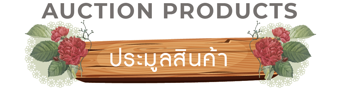 สินค้าประมูล